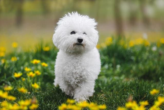 iStock-1388796467-640x427