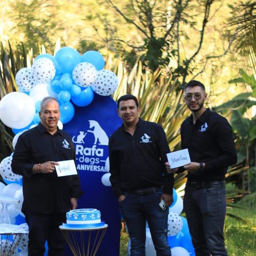 4af2f385-de9a-4746-836a-e16fee206920